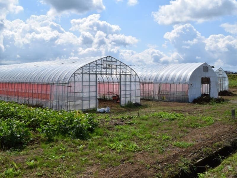 農業の確定申告 農業用機械・ビニールハウスの耐用年数は?